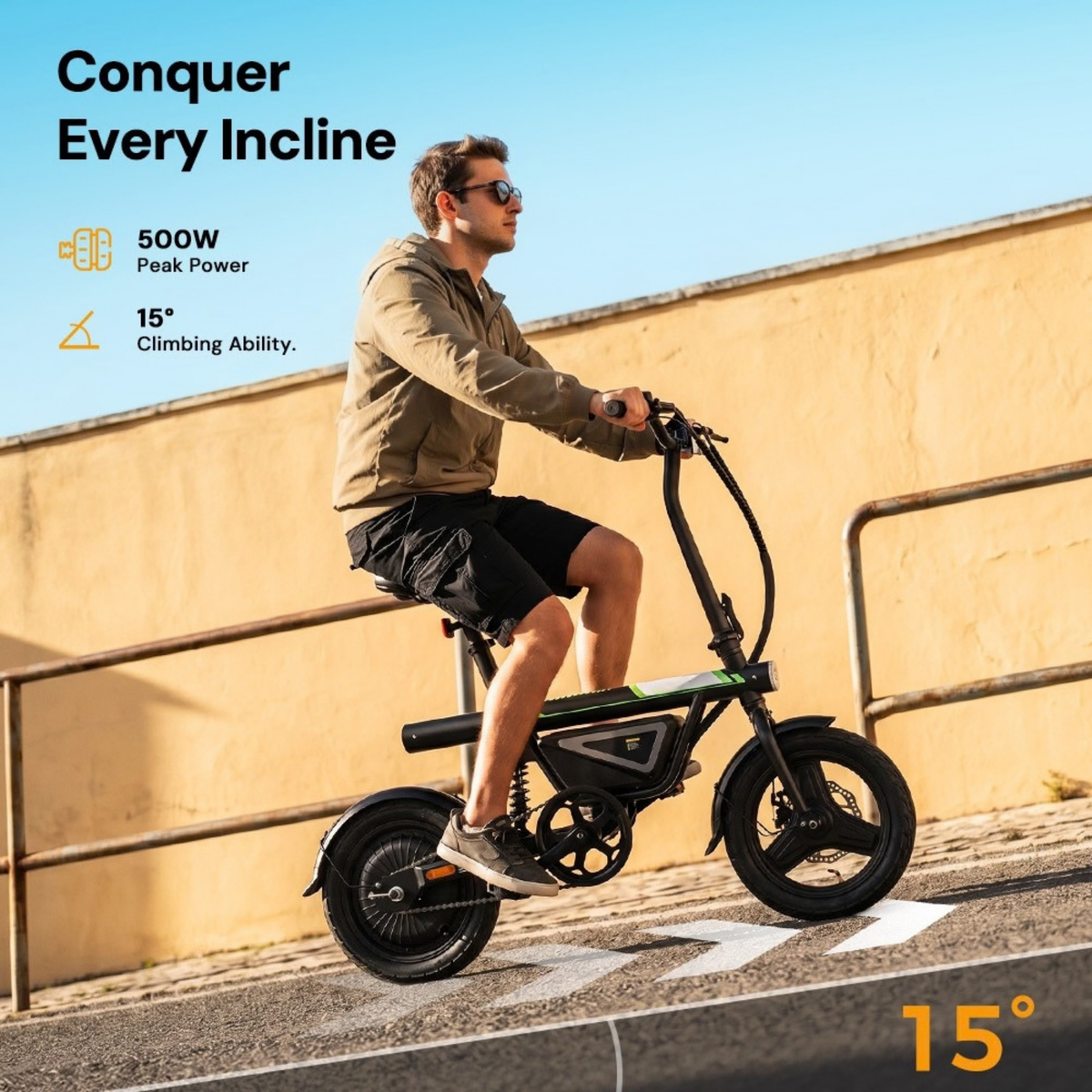 FD1S Electric Bike 500W for Adults