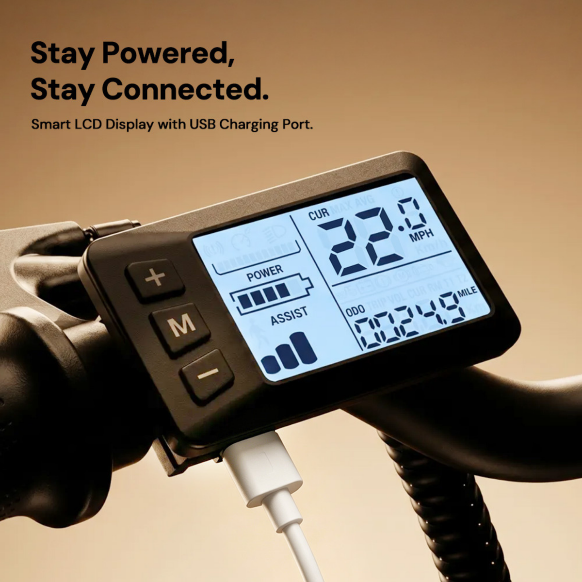 FD1S Electric Bike 500W for Adults