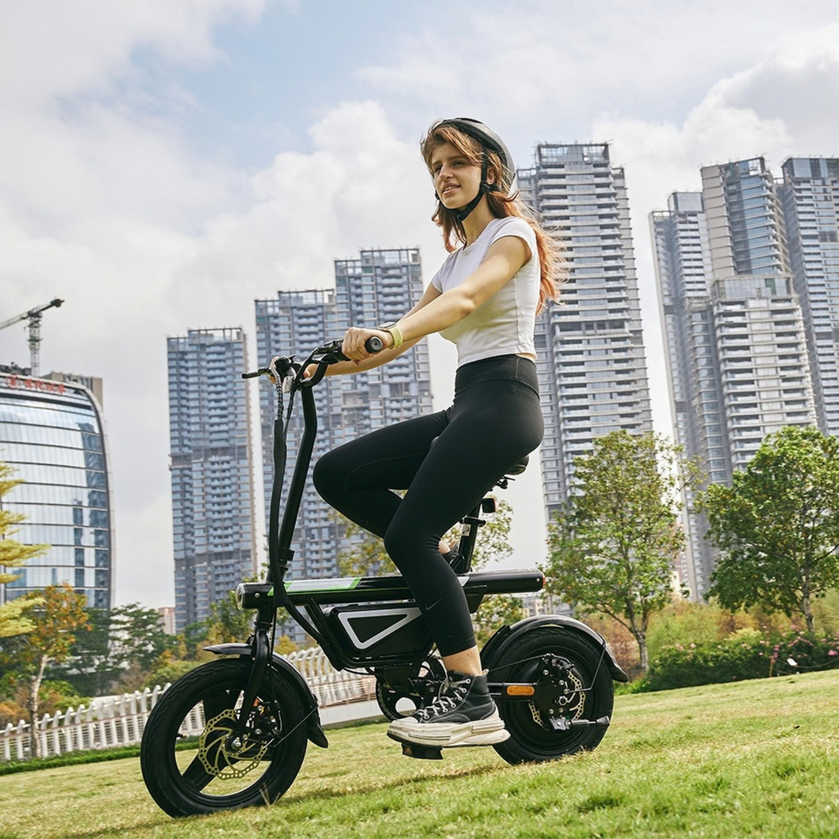 FD1S Electric Bike 500W for Adults