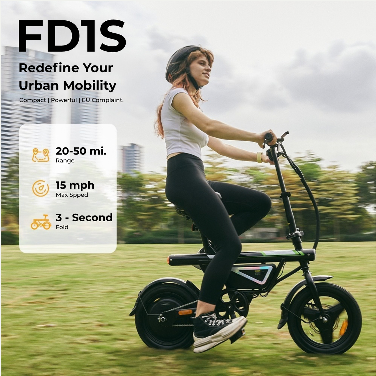 FD1S Electric Bike 500W for Adults
